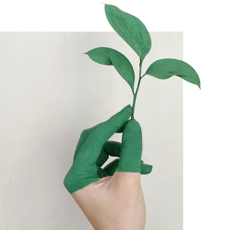 La foto mostra una mano che sorregge una foglia, con dita tinte di verde per simboleggiare l'impegno di GEA er l'ambiente e la scelta di produrre soluzioni senza insetticidi per il mondo del Pest Control