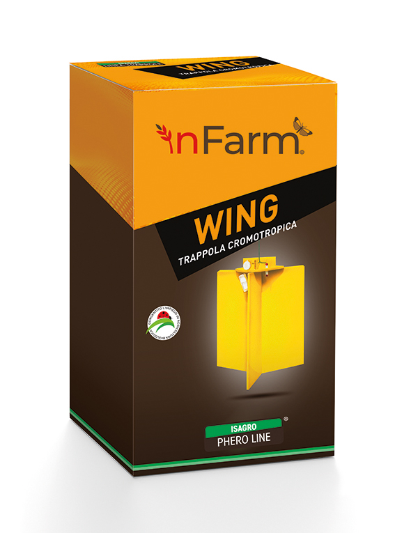 wing-packaging