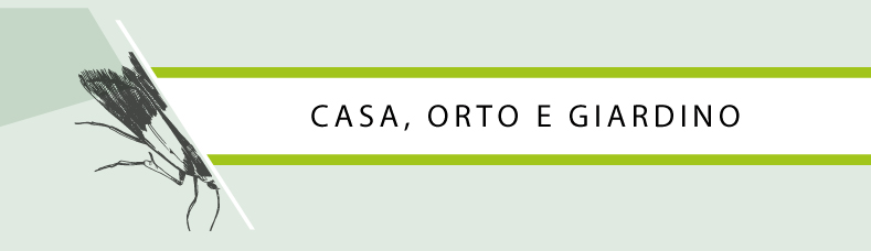 HEADER_CORSI