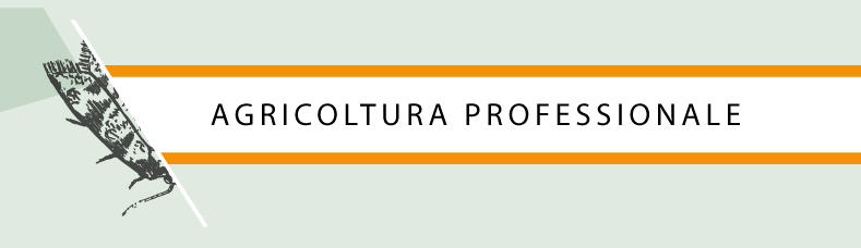 Header-corsi