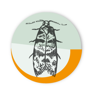 infarm