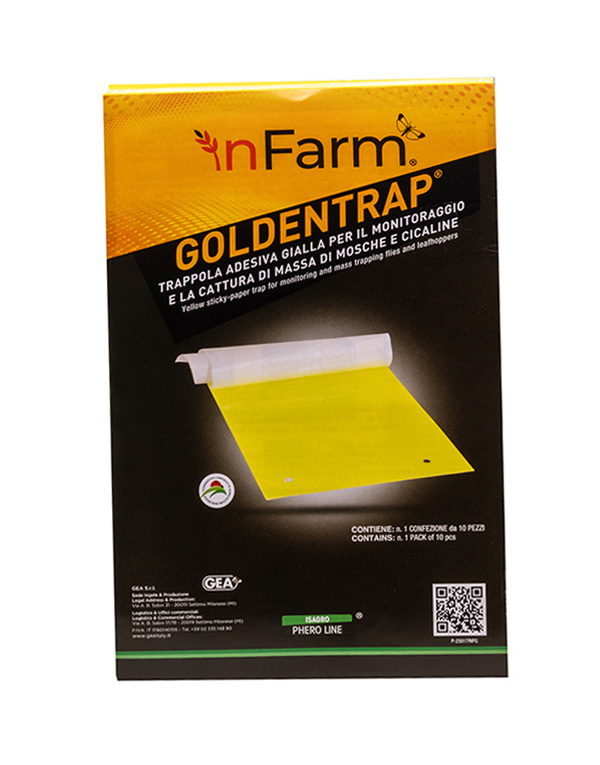 P-25017INFG-_GOLDENTRAP_PACK