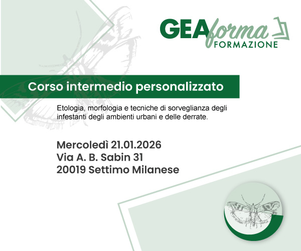 GEAForma 21.01.2026