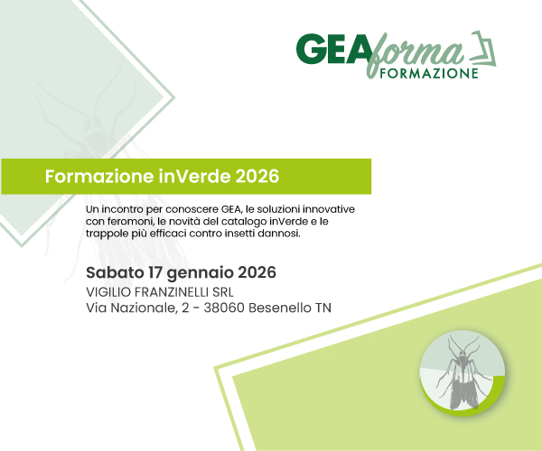 HOME_gallery17.01.2026