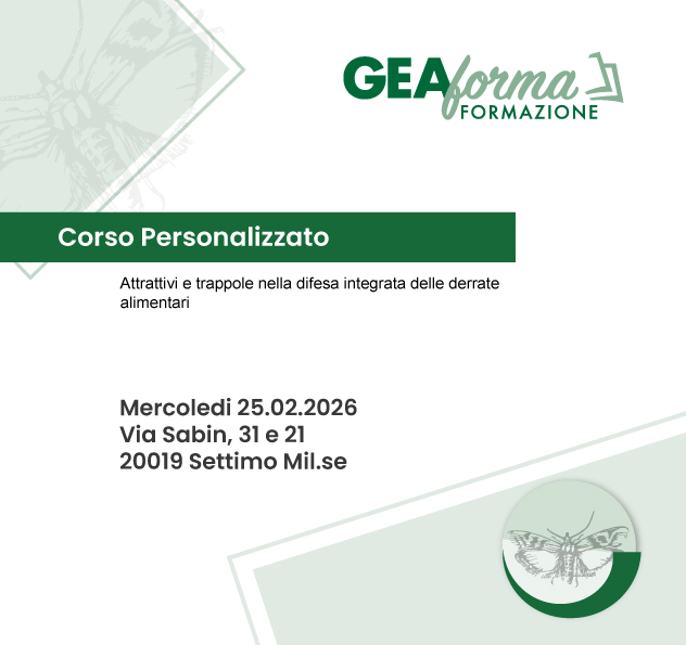 6_geaforma_25.02.26